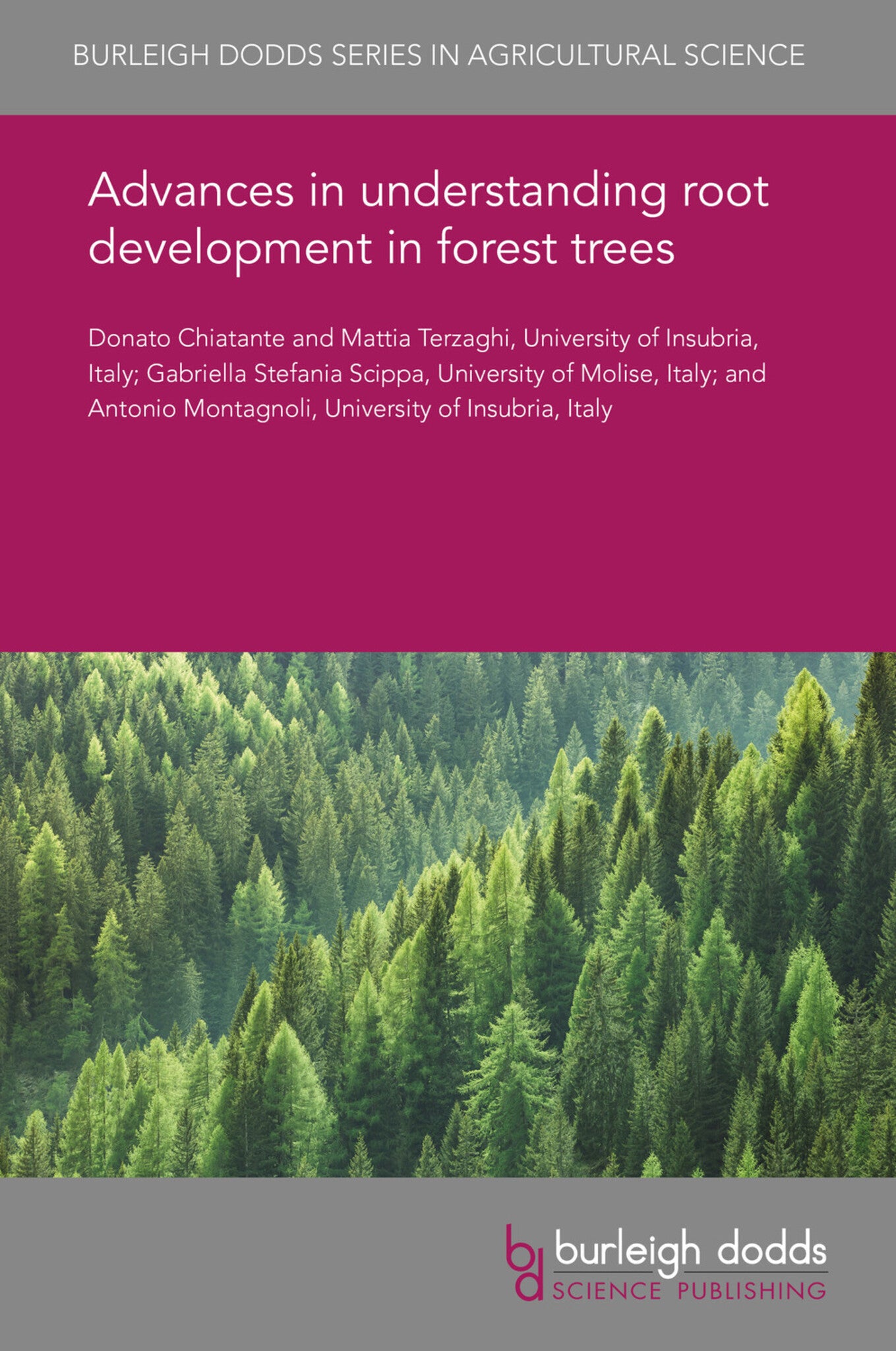 Advances in understanding root development in forest trees